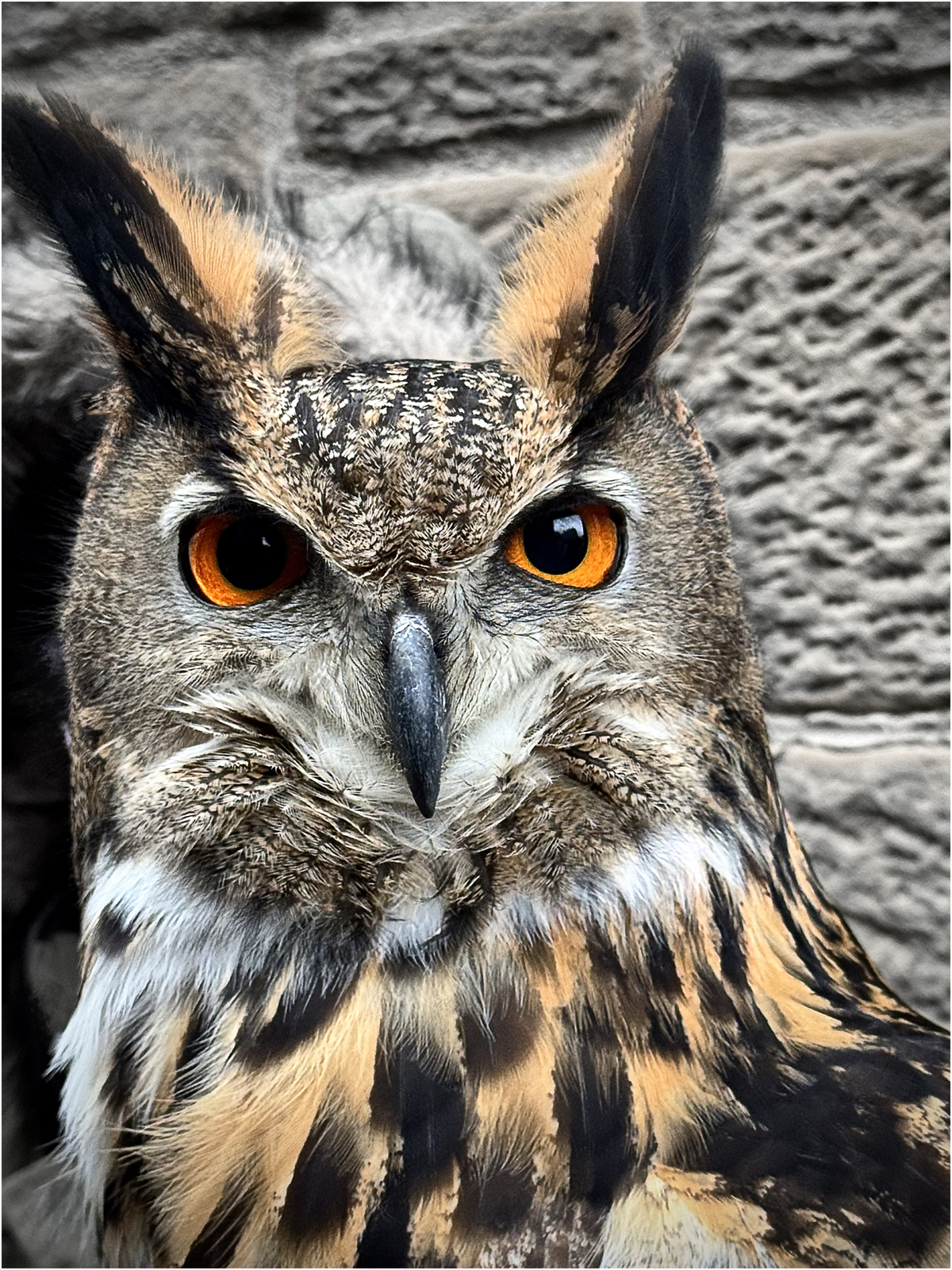 Looking at you