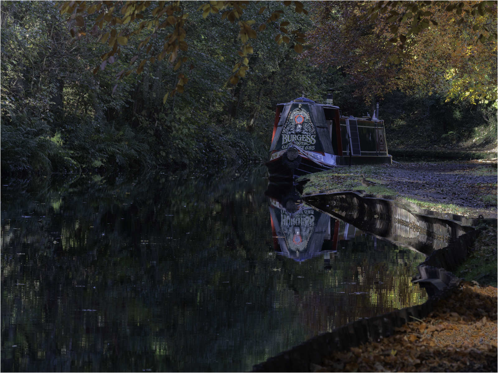 Tranquility